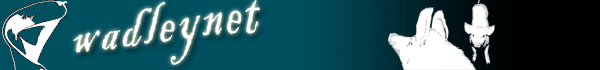 WadleyNet Logo